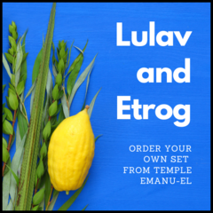 [logo] Lulav & Etrog