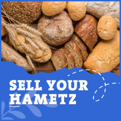 [logo] Sell Your Hametz